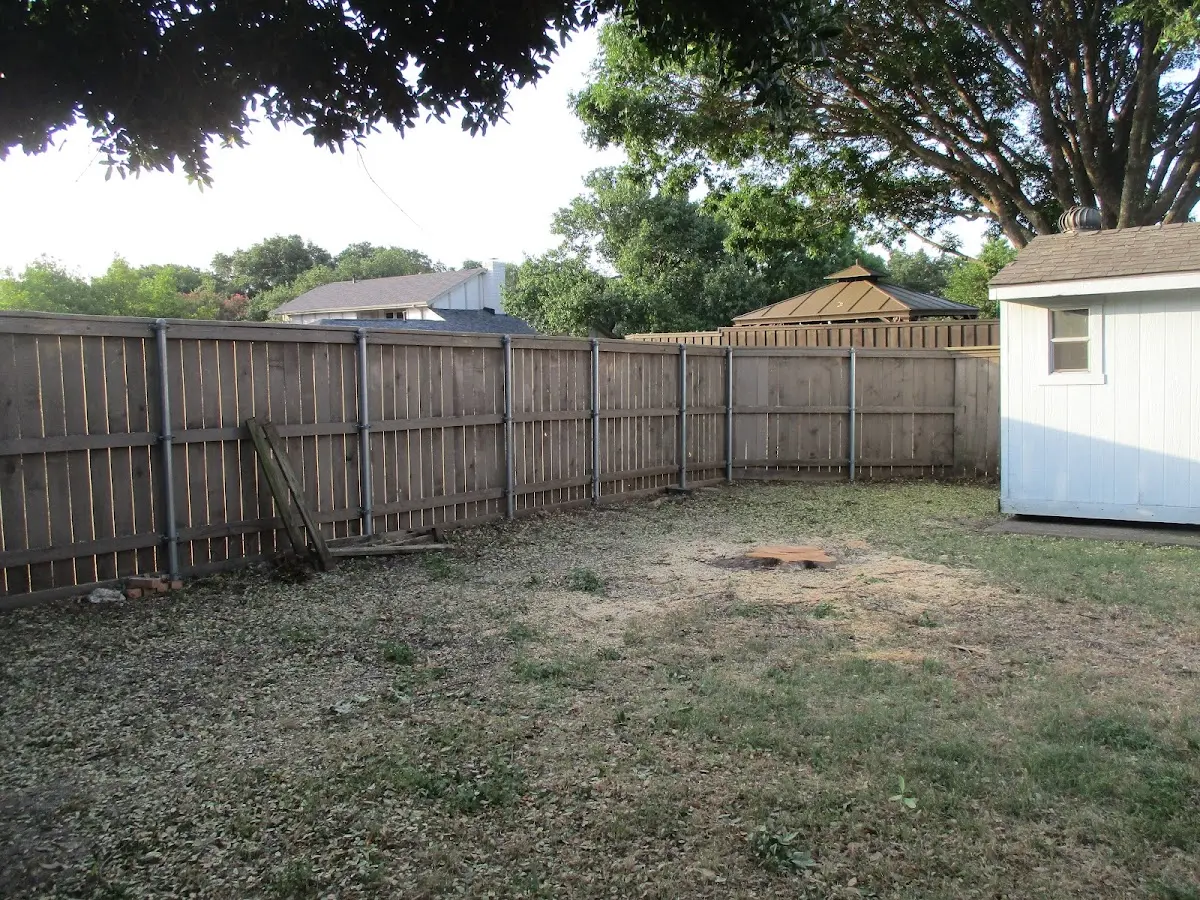 Cleared yard after professional tree removal in South Boardman